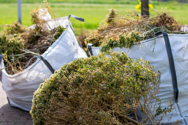 Best Full-Service Junk Removal  in Ventnor City, NJ
